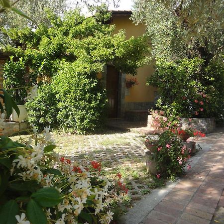 Residence E B&B Villamirella ปาลีนูโร ภายนอก รูปภาพ